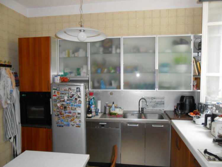 DSCN7235 (FILEminimizer) 1785252410 gallery 750x563